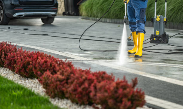Best Driveway Cleaning and Restoration in Uvalde, TX